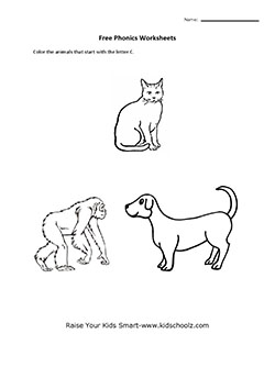 Phonics Activity Worksheets for Kids